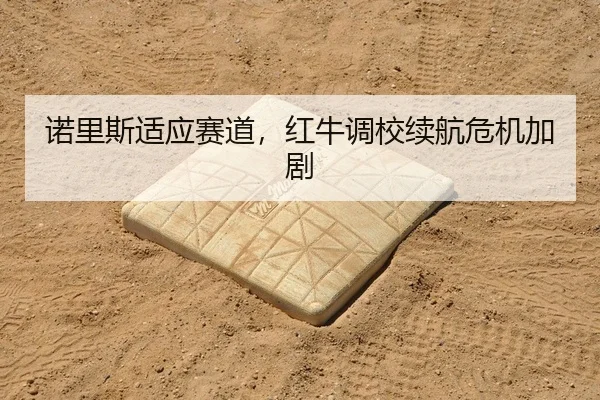 诺里斯适应赛道，红牛调校续航危机加剧